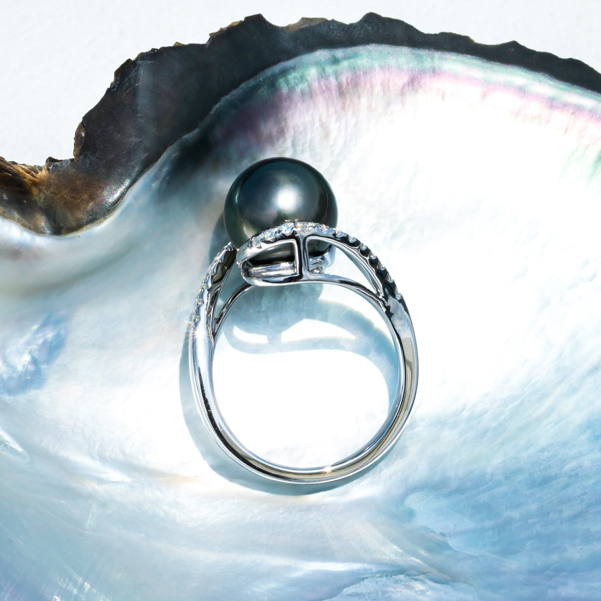 925 Silver 10-11mm Natural Tahitian Black Pearl and Moissanite Engagement Ring